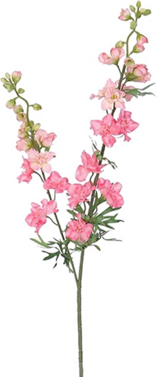 Warentuin Delphinium Tak Zalm Roze