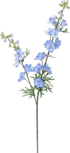 Warentuin Delphinium Tak L.blue