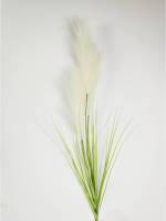 Warentuin Pampas Gras 80cm Met Blad Creme