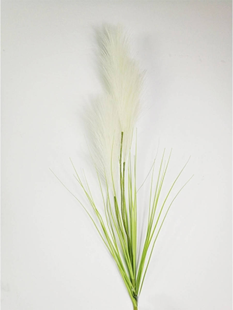 Warentuin Pampas Gras 80cm Met Blad Creme