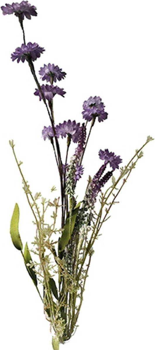 Warentuin Madelief Bosje 55cm Paars