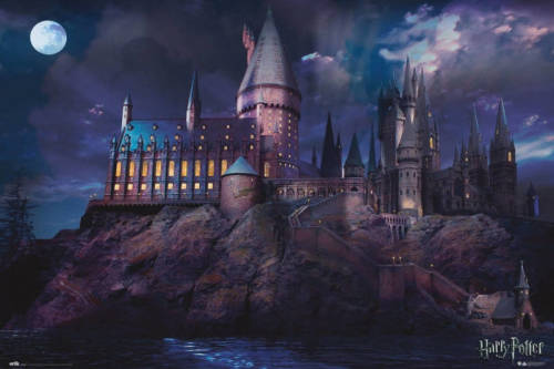 Yourdecoration Grupo Erik Harry Potter Hogwarts Poster 91,5x61cm