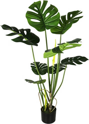 Warentuin Monstera 110 Cm