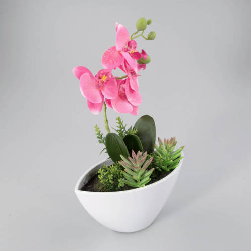 Warentuin Orchidee In Kunststof Pot Roze L