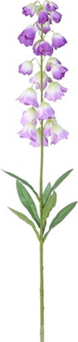 Warentuin Campanula Violet