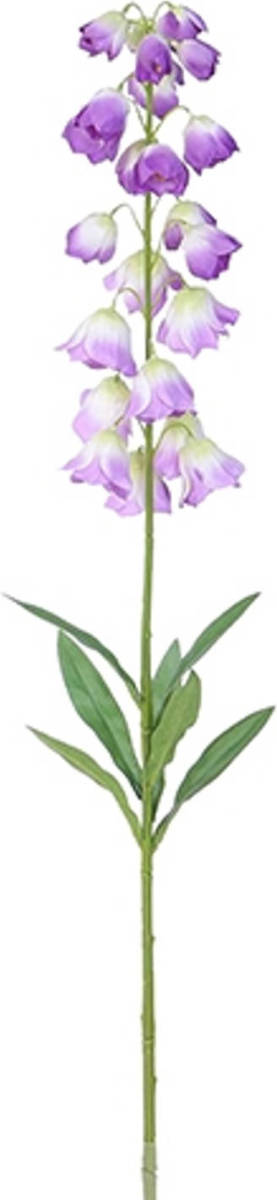 Warentuin Campanula Violet