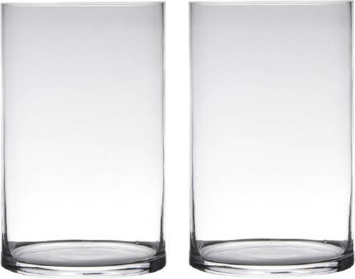 Bellatio Design Set Van 2x Stuks Transparante Home-basics Cylinder Vorm Vaas/vazen Van Glas 25 X 19 Cm - Vazen