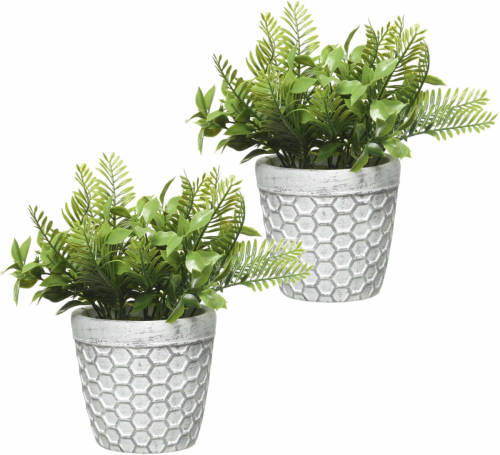 Decoris 2x Stuks Varen Kunstplantje/nepplant In Pot 22 Cm - Kunstplanten