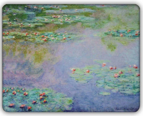 Benza Dunne Fleecedeken - Plaid - Kunst - 150 X 120 Cm - Waterlelies Van Claude Monet