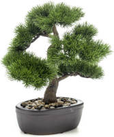 PrettyPlants Bonsai Pinus Kunstplant 32cm