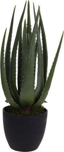 ProGarden Kunstplant In Pot Aloe Vera 25x45 Cm