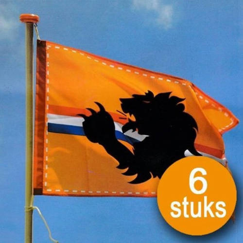 Boland Oranje Versiering 6 Stuks Oranje Vlag 60 X 90 Cm Ek Voetbal Holland Met Leeuw