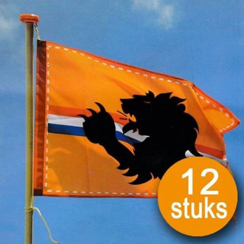 Boland Oranje Versiering 12 Stuks Oranje Vlag 60 X 90 Cm Ek Voetbal Holland Met Leeuw