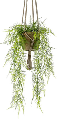 PrettyPlants Asparagus Kunst Hangplant 80cm