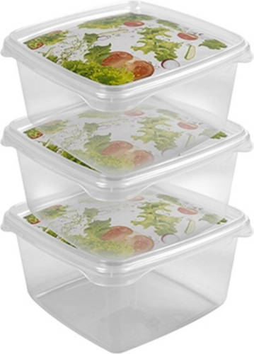 Hega Hogar 3x Voorraad/vershoudbakjes 1,3 Liter Transparant Plastic - Vershoudbakjes