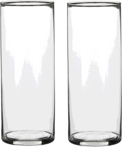 Mica Decorations 2x Ronde Glazen Cilinder Vaas/vazen Transparant 24 Cm Lang - Vazen