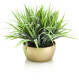 PrettyPlants Kunst Grasplant Met Gouden Pot 35cm