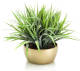 PrettyPlants Kunst Grasplant Met Gouden Pot 35cm