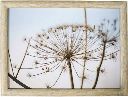 Mars & More Schootkussen/laptray Berenklauwen Natuur Print 43 X 33 Cm - Dienbladen