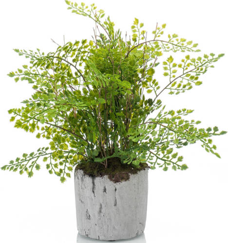 Emerald Groene Kunstplant Varen 30 Cm - Kunstplanten