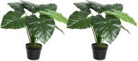 Shoppartners 2x Groene Colocasia/taro Kunstplanten 52 Cm In Zwarte Pot - Kunstplanten/nepplanten - Kantoorplanten