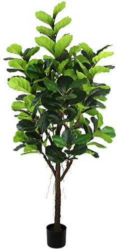 Warentuin Ficus Lyrata 210 Cm Kunstplant Buitengewoon De Boet