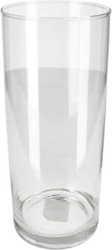 Shoppartners Bloemenvaas/vazen Van Transparant Glas 25 X 10 Cm - Vazen