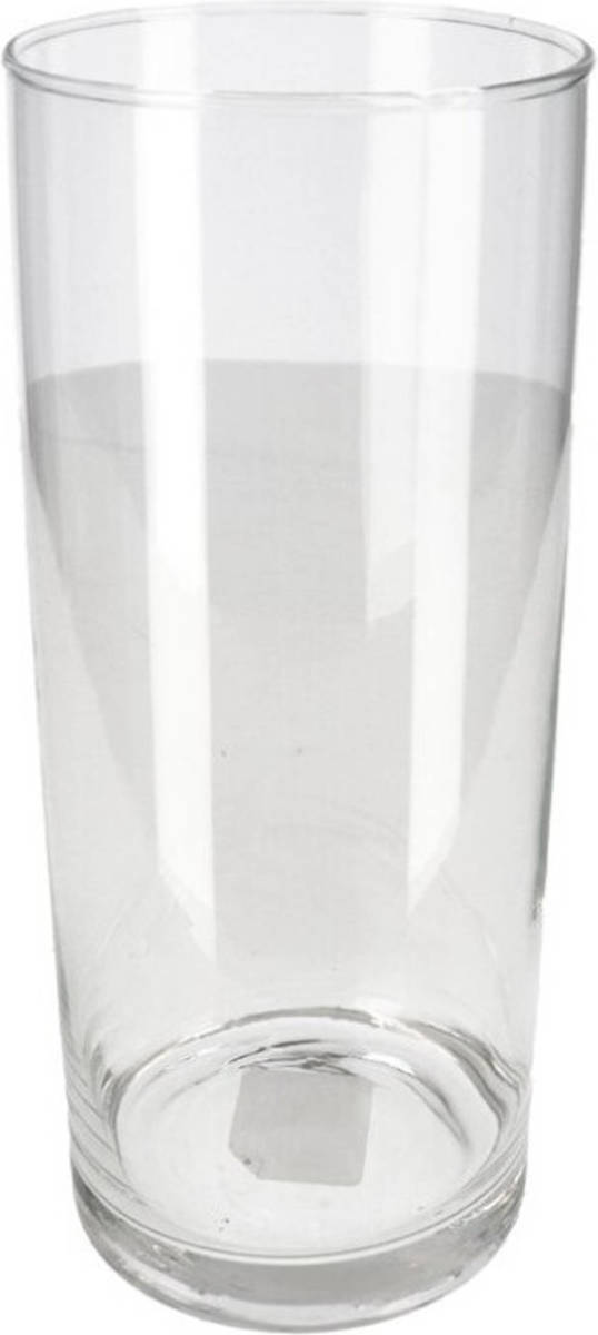 Shoppartners Bloemenvaas/vazen Van Transparant Glas 25 X 10 Cm - Vazen