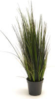 PrettyPlants Kunst Grasplant 60cm