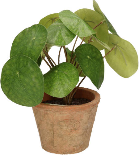 Shoppartners Kantoor Kunstplant Pilea Pannekoekplant Groen In Pot 25 Cm - Kunstplanten