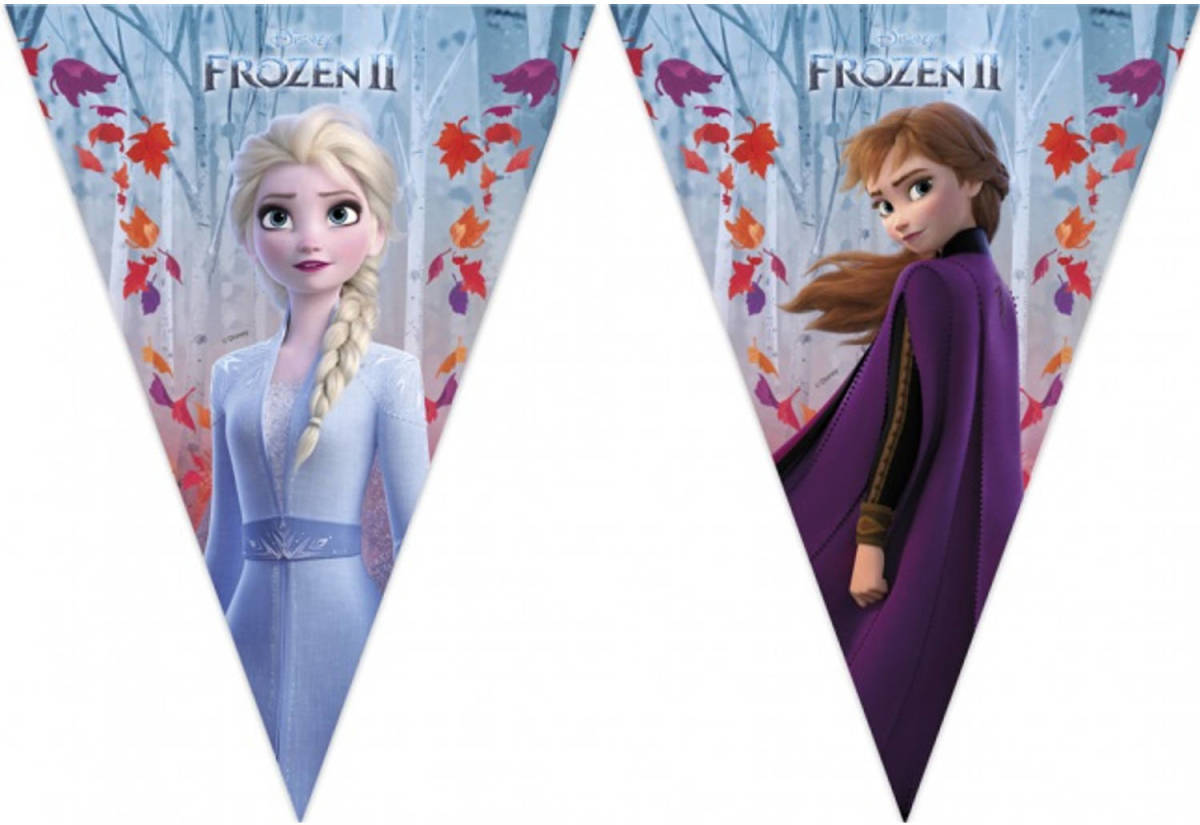 Procos Vlaggenlijn Frozen Ii Junior 230 Cm Blauw/paars