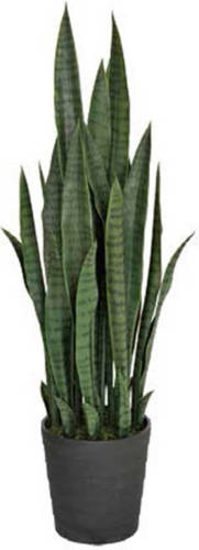 InterGard Tuinartikelen Intergard Kunstplanten Sansevieria Vrouwentong 105cm Groen