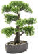 PrettyPlants Bonsai Mini Kunstplant 43cm