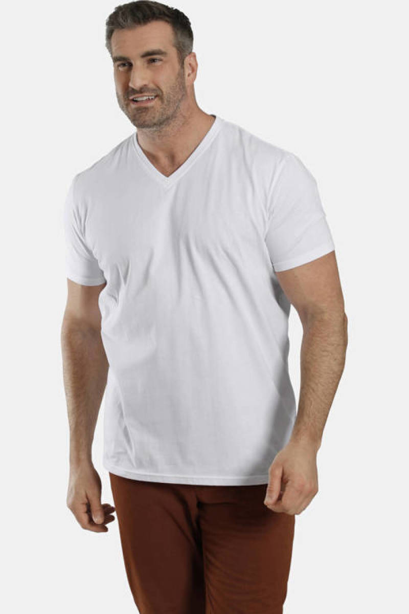 Charles Colby T-shirt EARL MILLS- (set van 2)