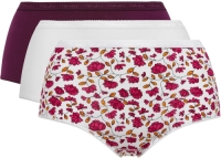 Playtex Set van 3 maxi slips in biologisch katoen