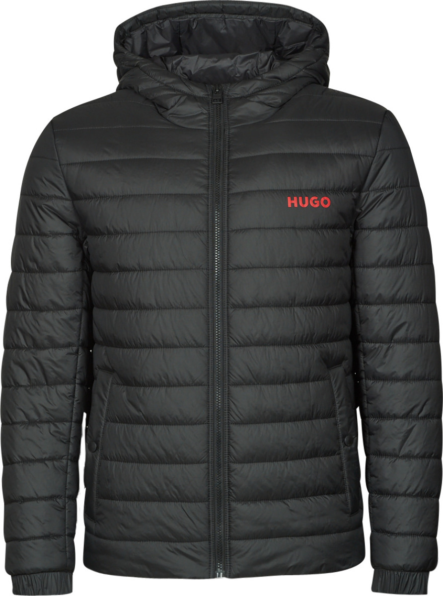 Donsjas Hugo  Bene2241