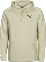 Puma Hoodie Evostripe