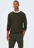 ONLY & SONS Trui met ronde hals WYLER LIFE CREW KNIT
