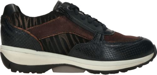 Xsensible Lucca Sneaker  Zwart/Bruin