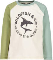 Wildfish longsleeve van biologisch katoen wit/lichtgroen/lichtblauw