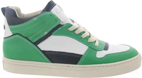 Cks Cimone(22226407)