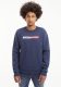 Tommy Jeans Sweater logo Linear