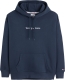 Tommy Jeans Hoodie logo Linear