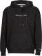 Tommy Jeans Hoodie logo Linear