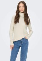 Only Coltrui ONLFIA KATIA L/S LONG R-NECK