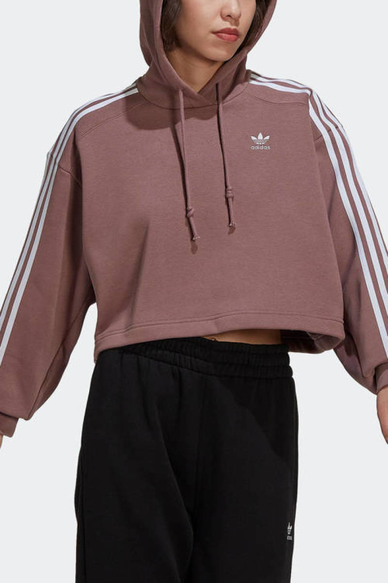 adidas Originals Adicolor hoodie oudroze/wit