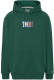 Tommy Jeans Big & Tall hoodie met logo dark turf green