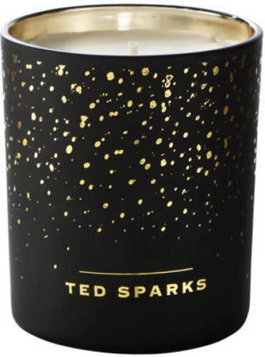 Ted Sparks geurkaars Cinnamon & Spice