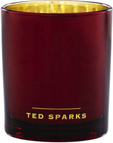 Ted Sparks geurkaars Demi - Spiced Orange & Clove