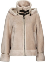 Windjack Oakwood  TRESOR